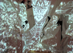 Lily Hatchett Image